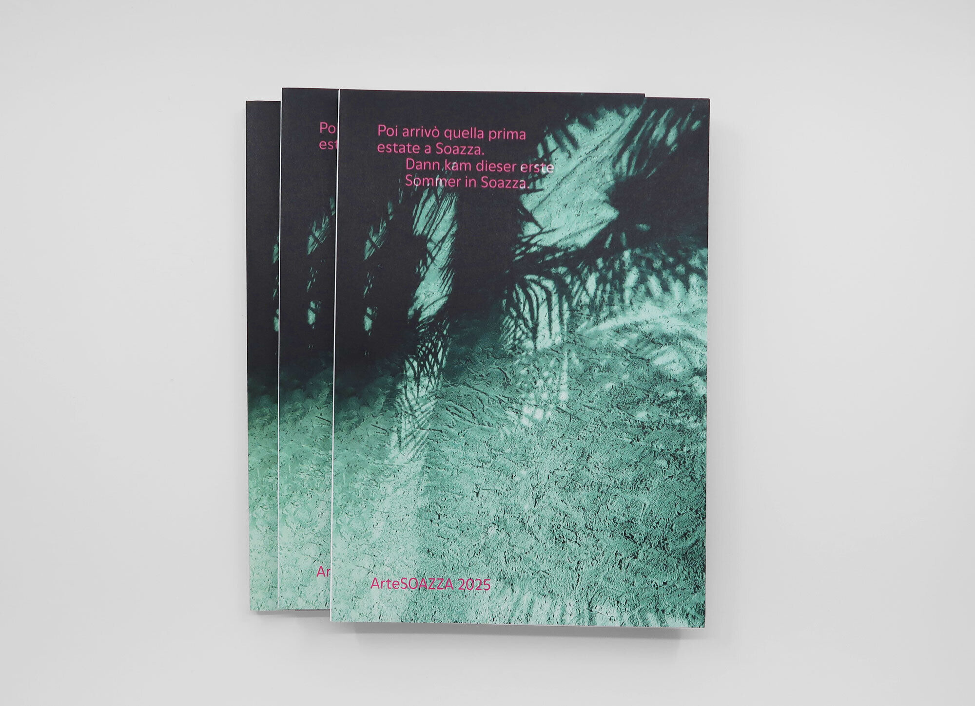 2024 Arte Soazza P Buch 02