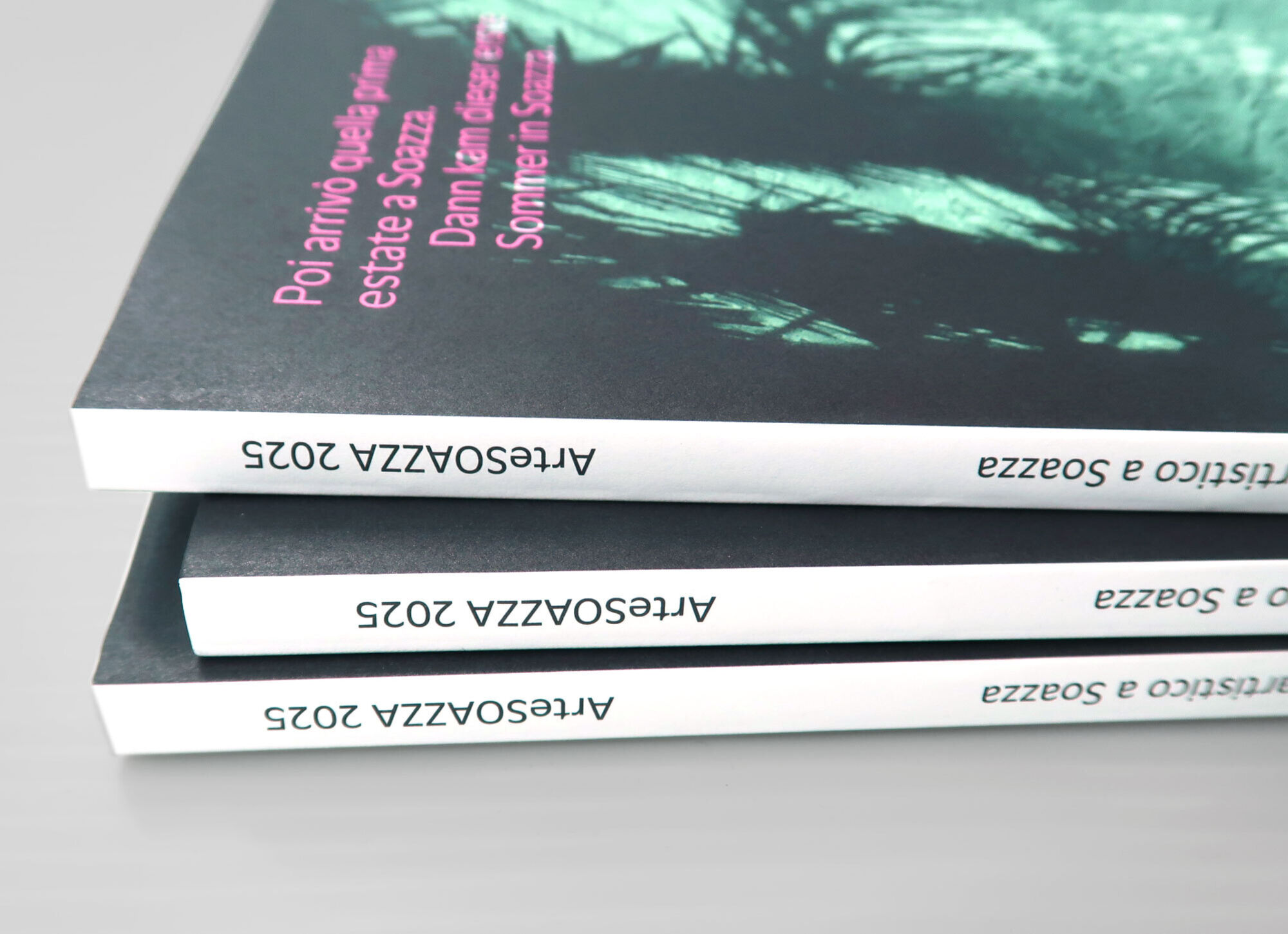 2024 Arte Soazza P Buch 03