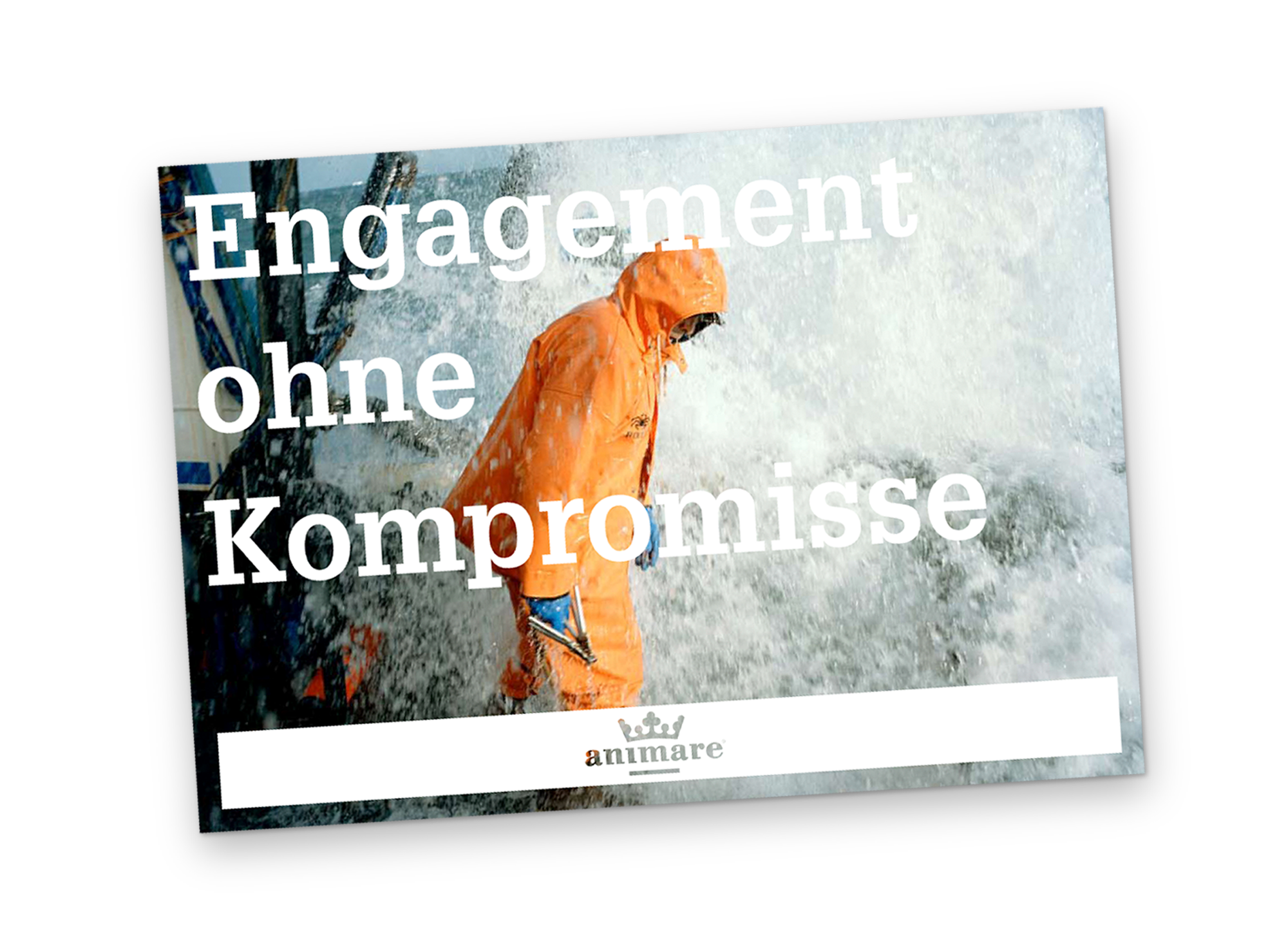 Animare Animare Broschuere A5