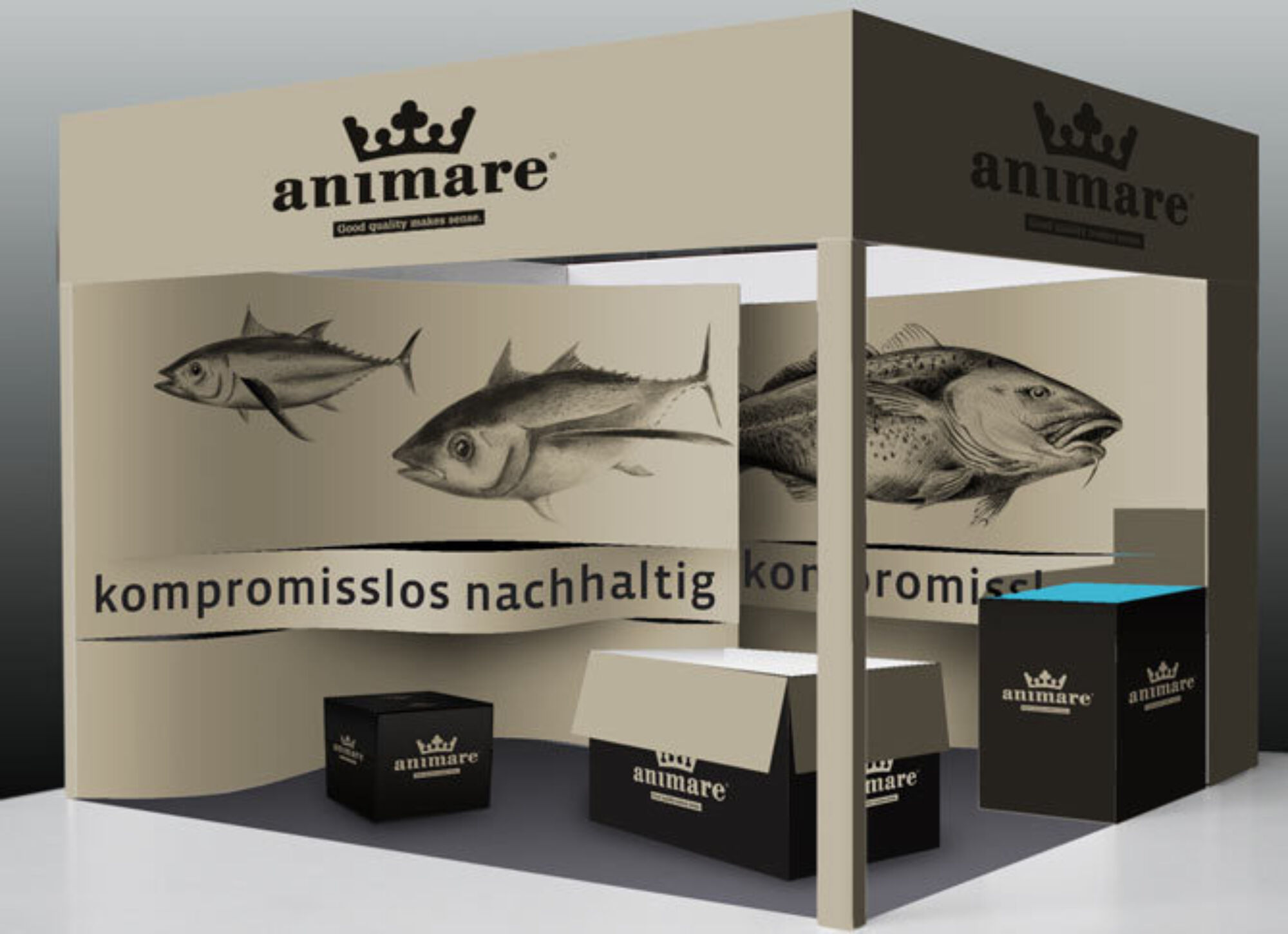 Animare 20100301 160540 Z230