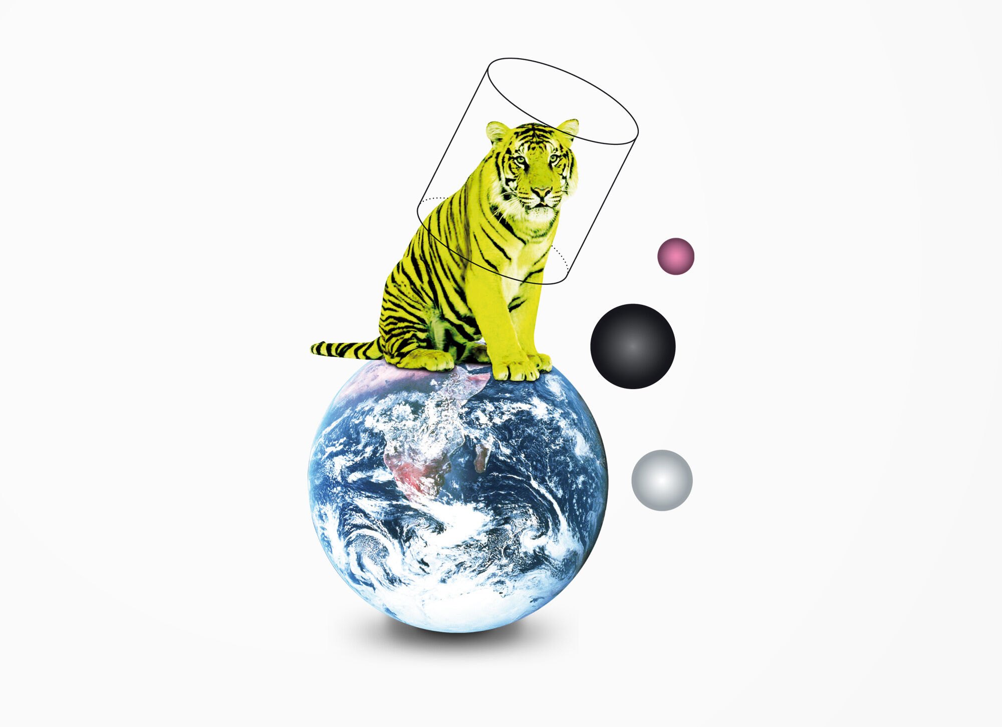 D Gess Maturandentage Tiger