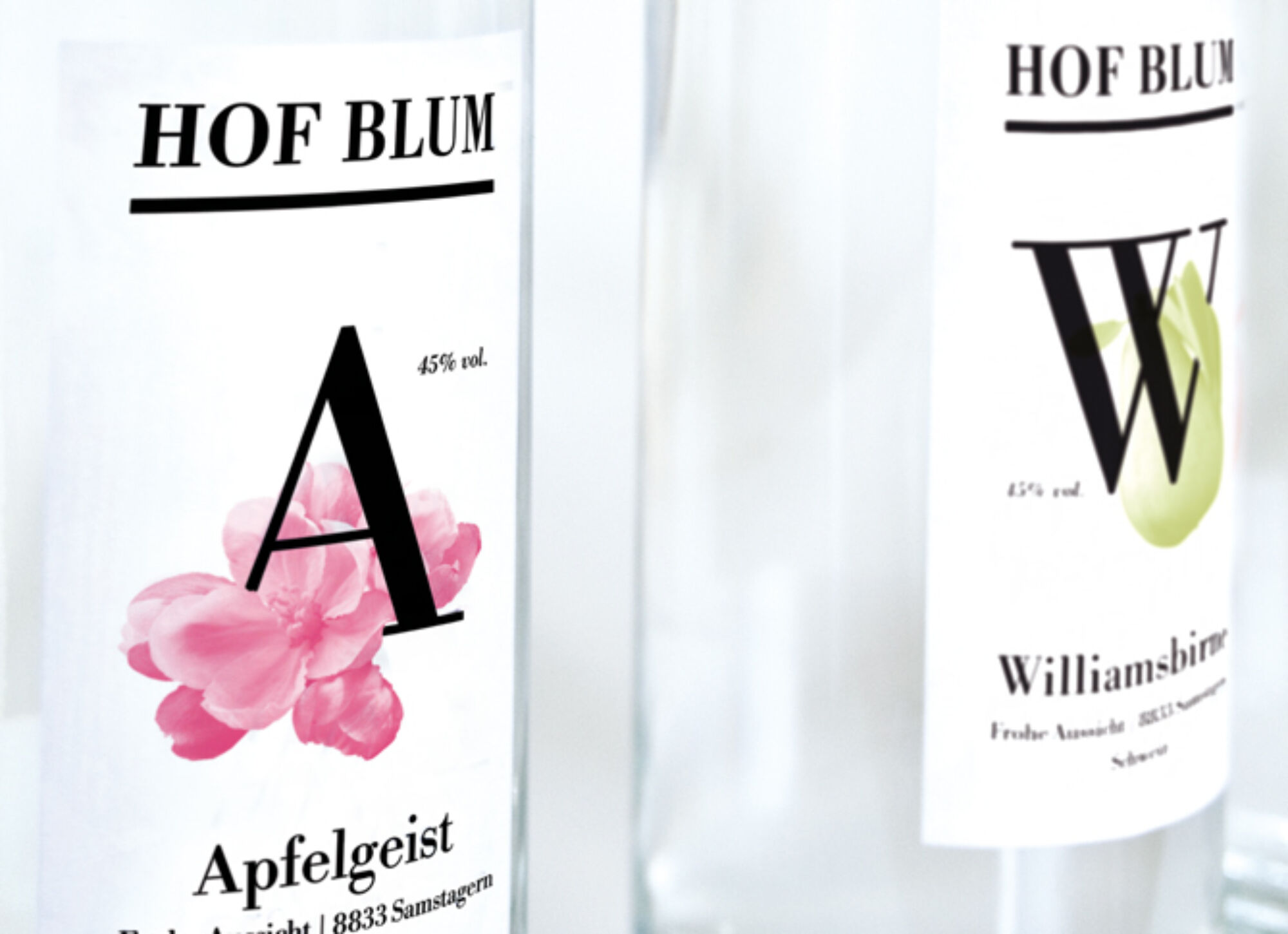 Hof Blum 20101223 155947 Z939