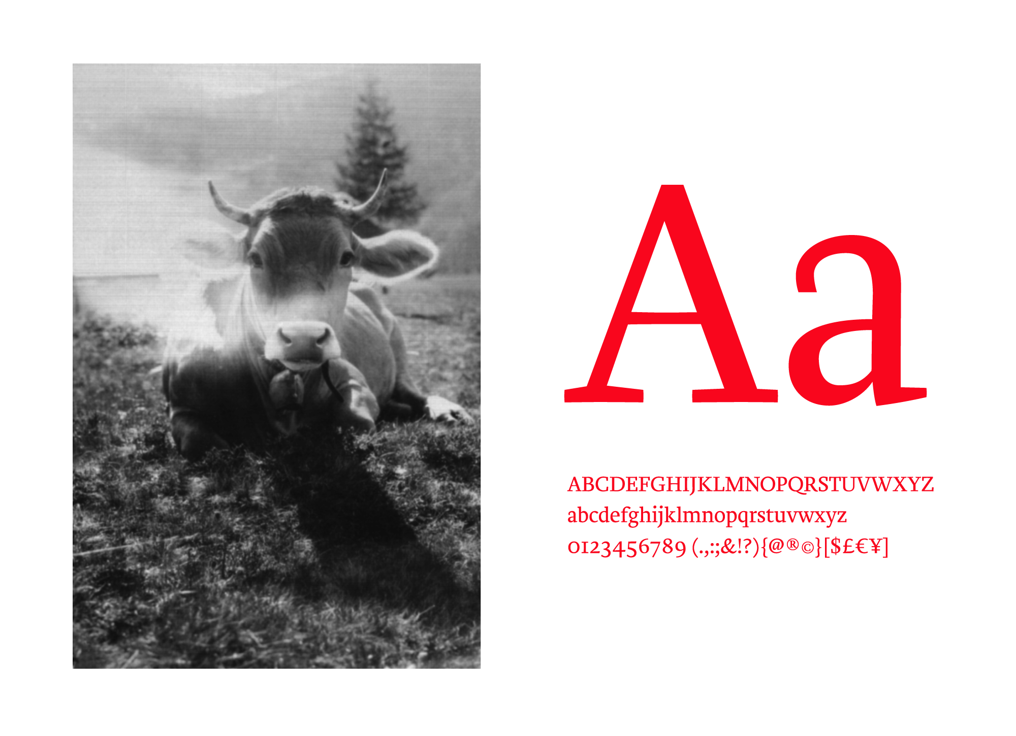 Preisig Preisig Identity 02