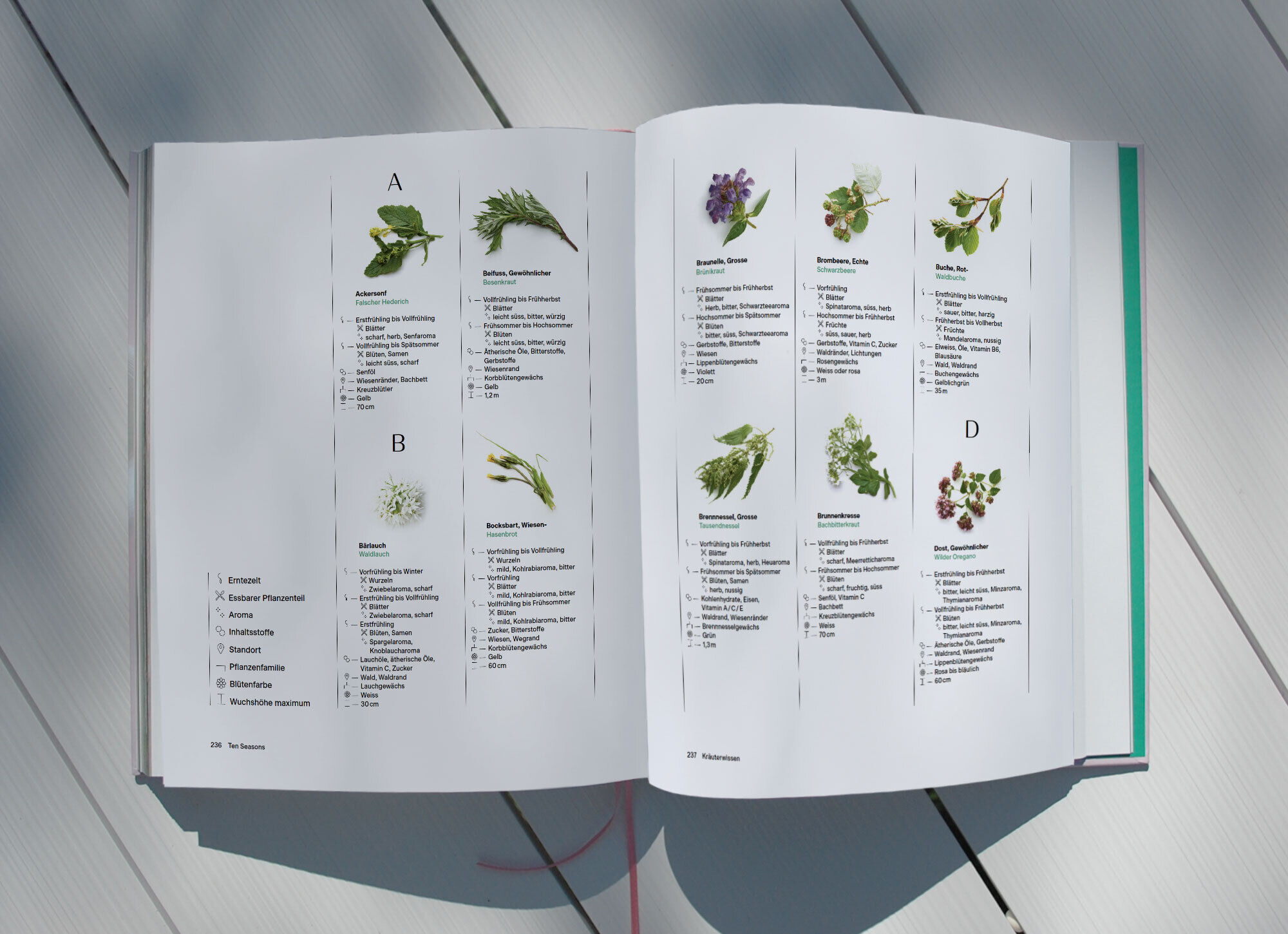 «Ten Seasons» Kochbuch Ten Season Book 11