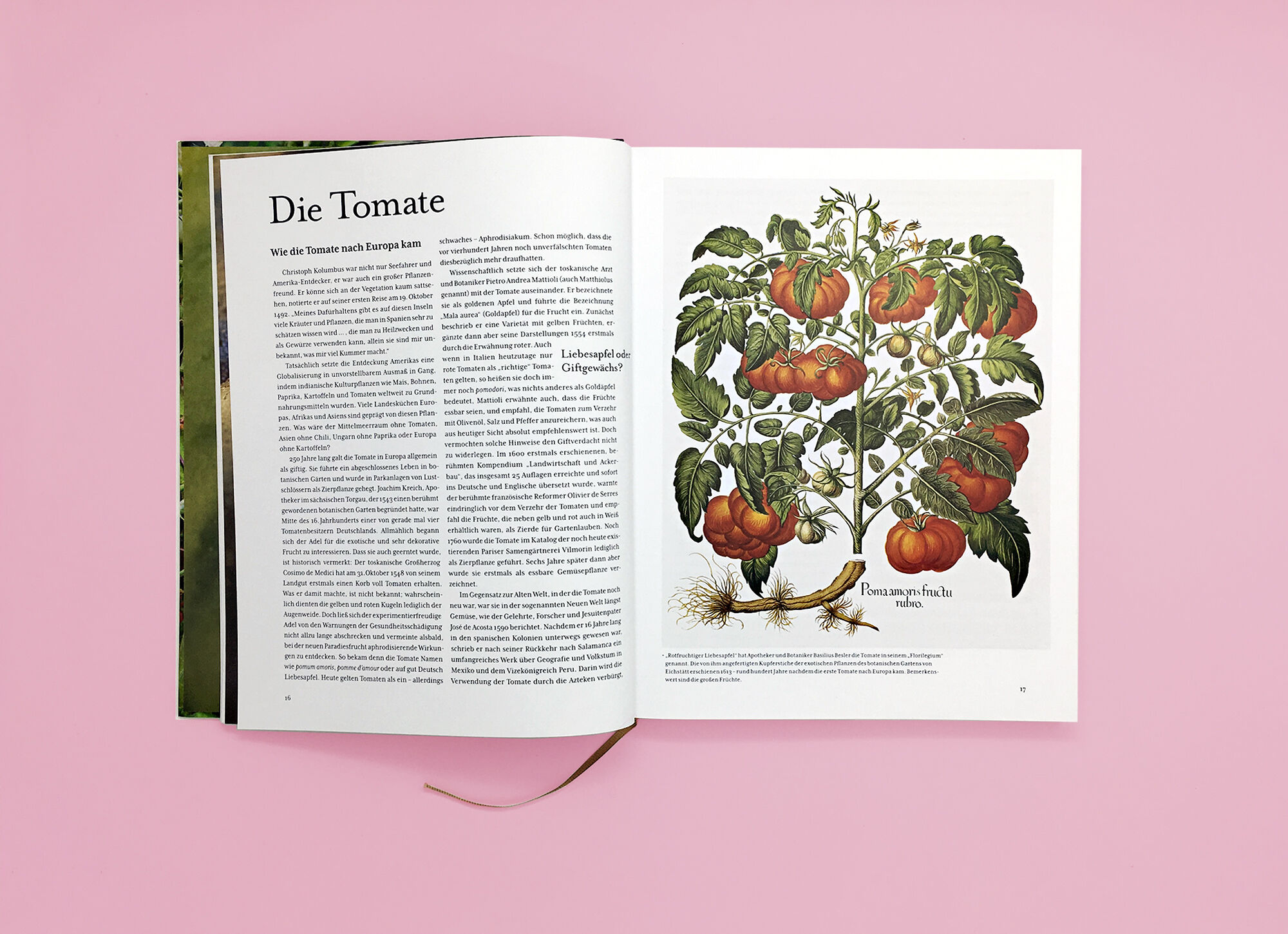 Tomatenlust Buero Haeberli Print Tomatenlust Seite1