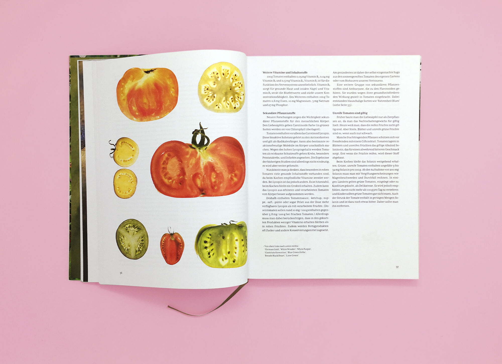 Tomatenlust Buero Haeberli Print Tomatenlust Seite2