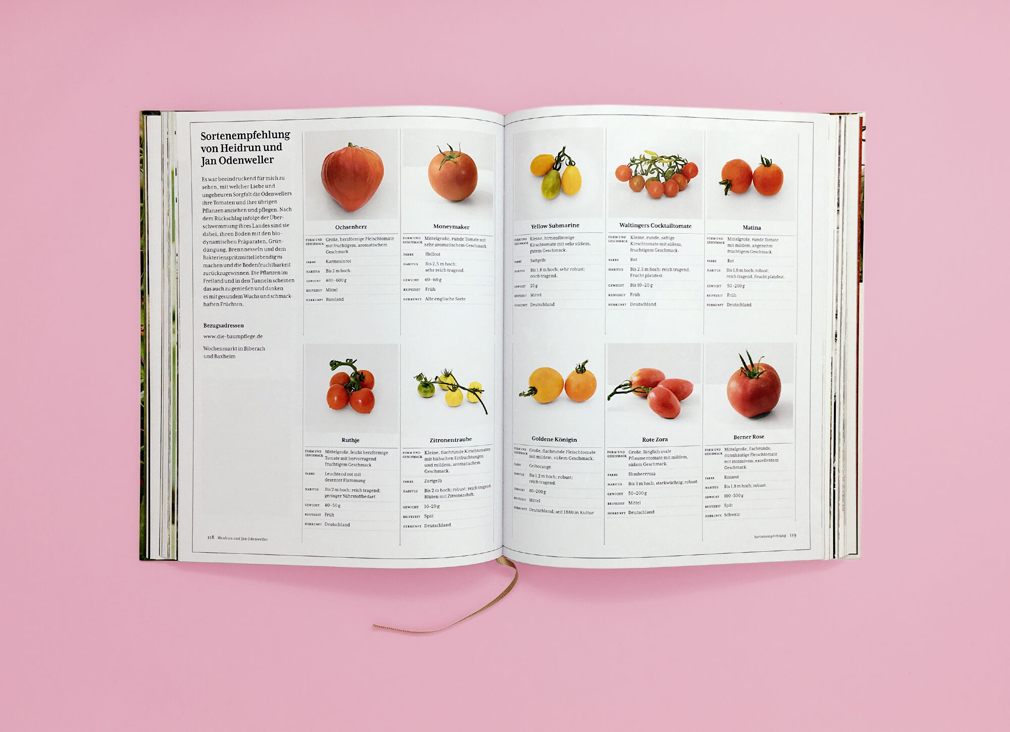 Tomatenlust Buero Haeberli Print Tomatenlust Seite6